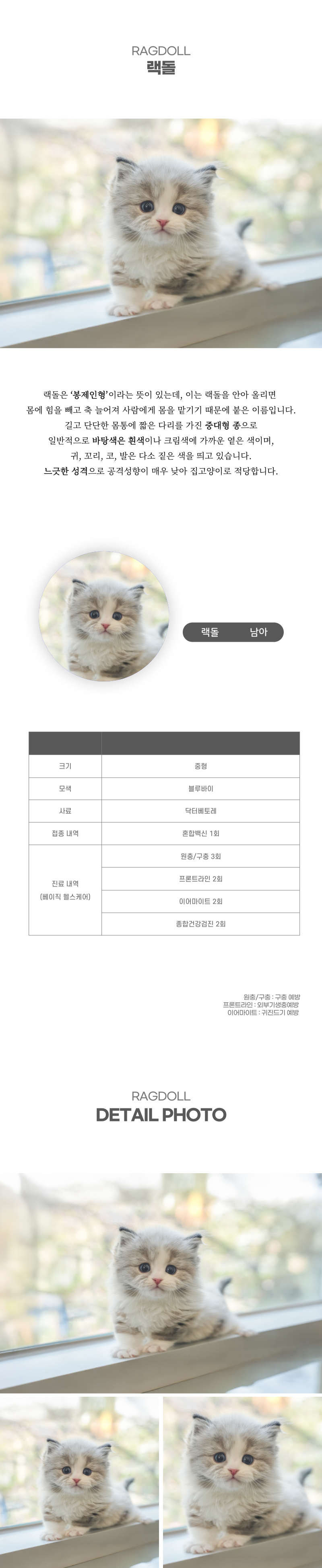 랙돌_상세이미지_2